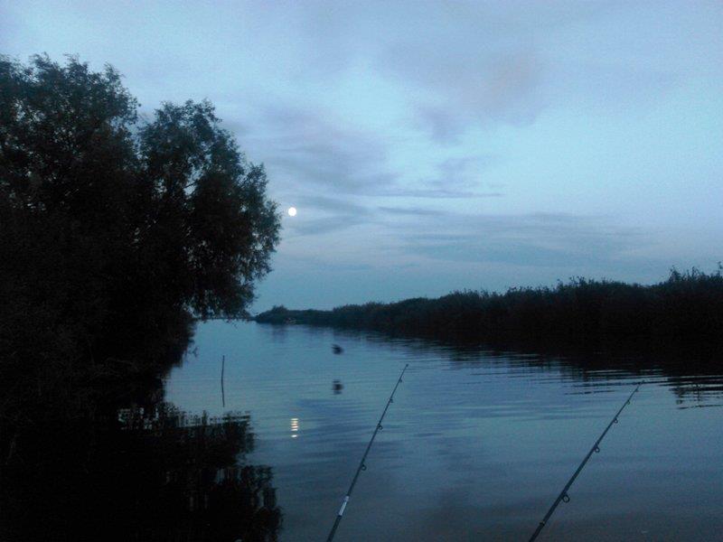 Rosu - Septembrie  2015 - img20150926185238.jpg